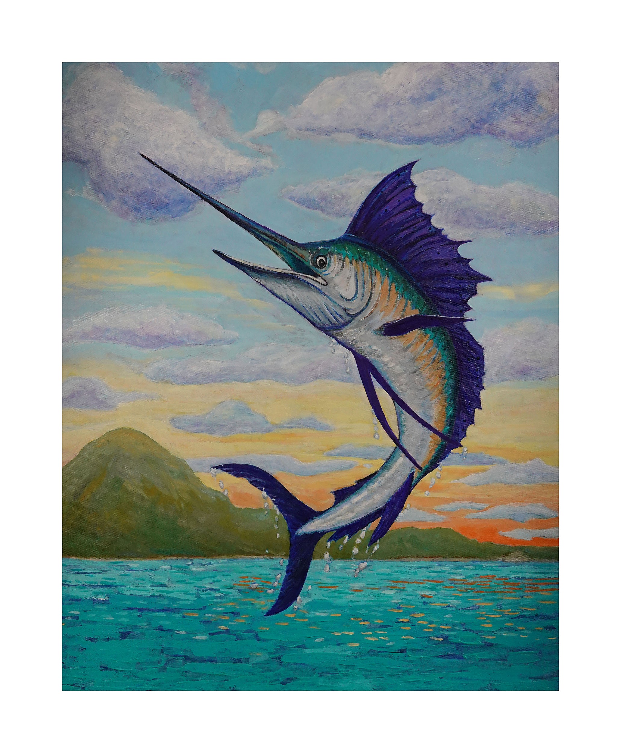 Sailfish Dancing in the Dawn