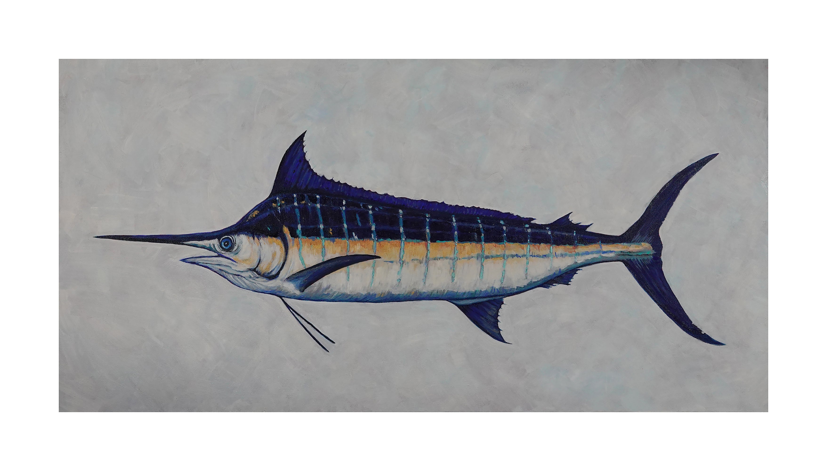 The Majestic Blue Marlin