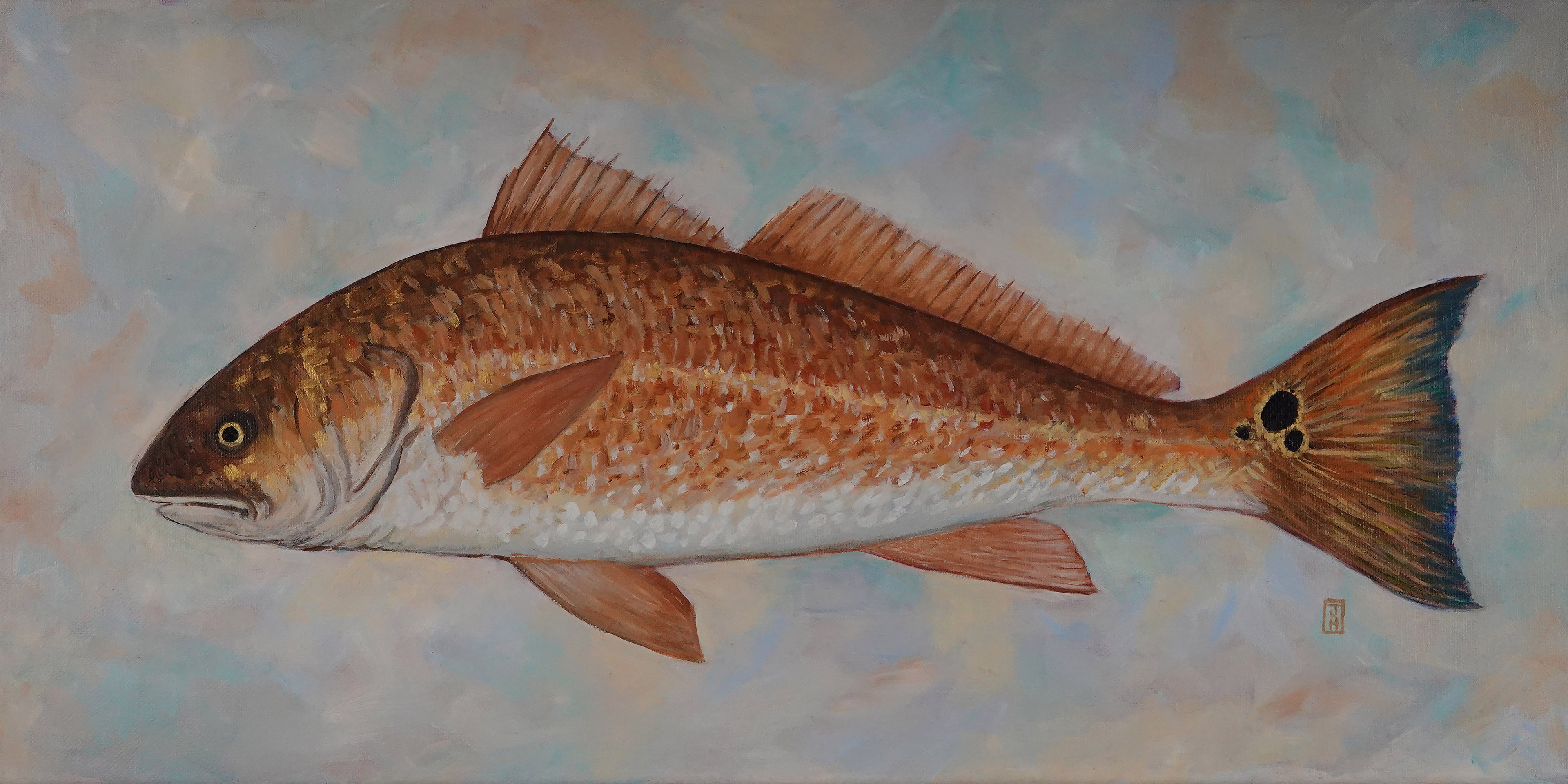 Red Drum - Copper King (24X12)