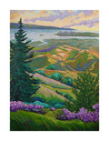 A View from Mount Tamalpais