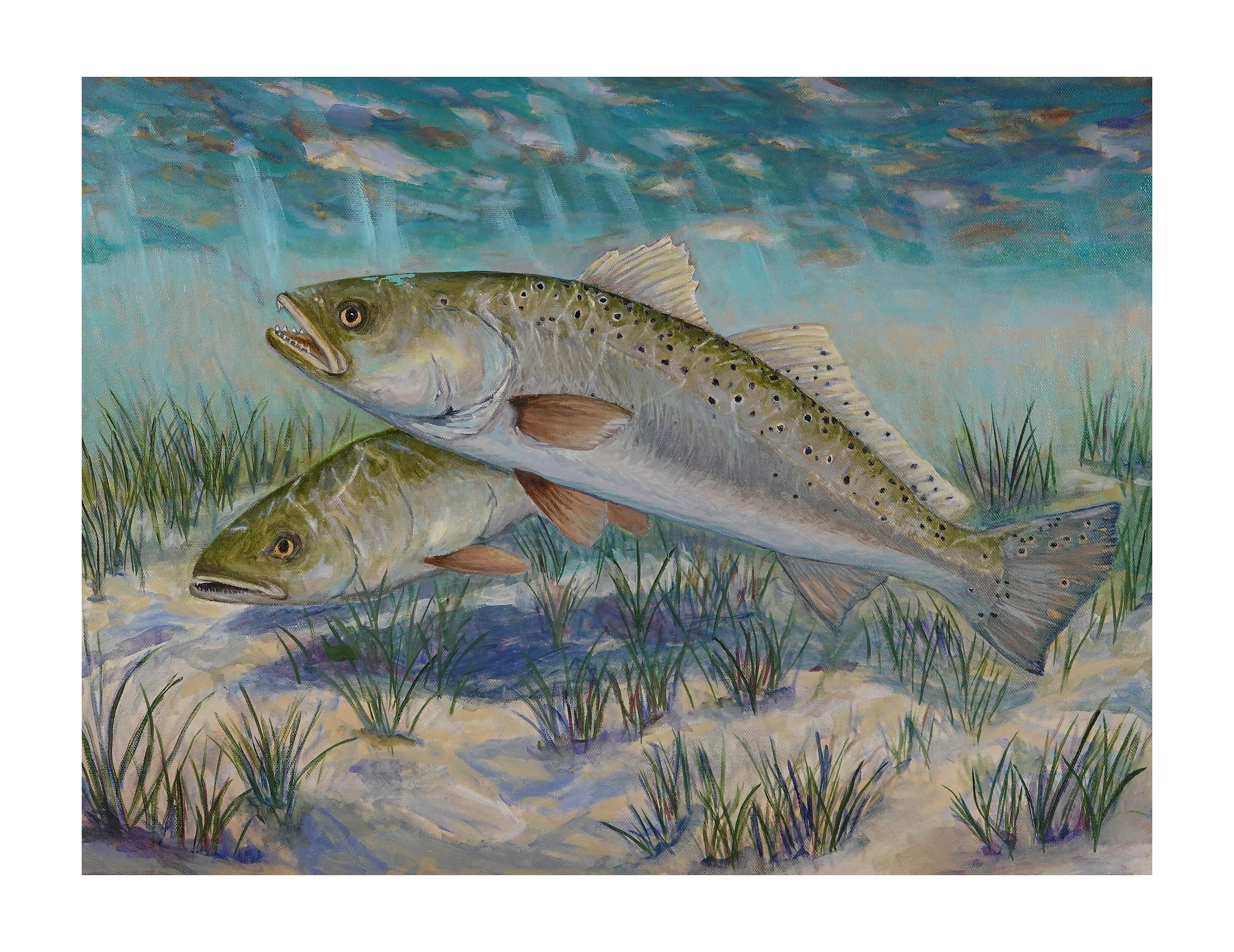 Speckled Trout Beneath the Morning Light