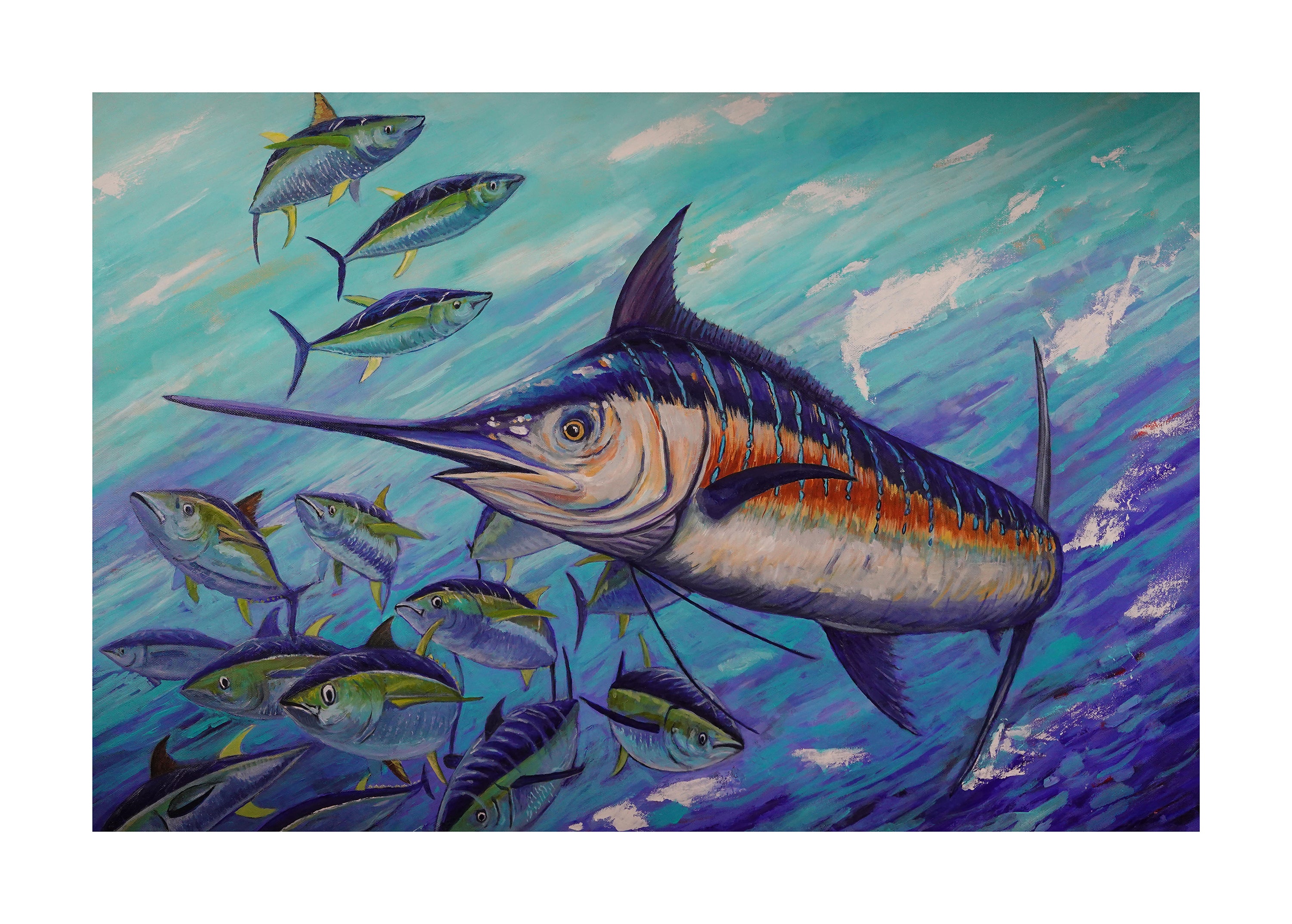 Blue Marlin: Chasing Silver