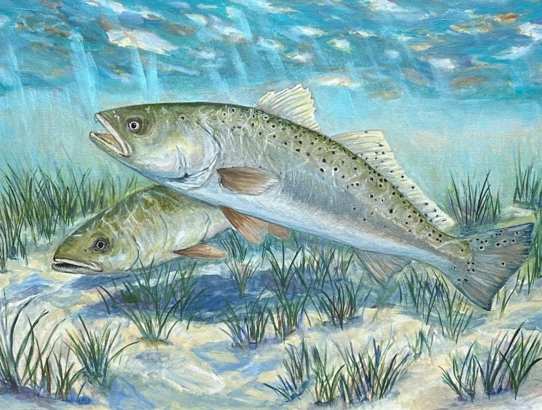 Speckled Trout Beneath the Morning Light (24X18)